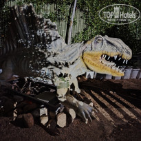 фото из отзыва ID 2659493