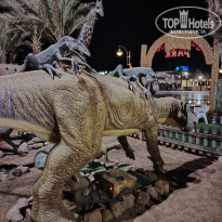 фото из отзыва ID 2659493