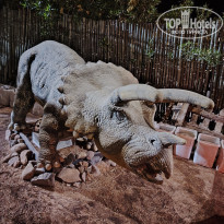 фото из отзыва ID 2659493