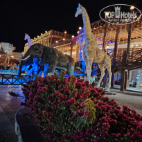 фото из отзыва ID 2659493