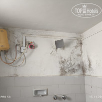 фото из отзыва ID 2659508