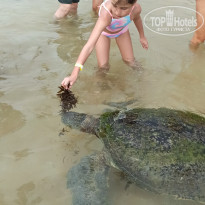 фото из отзыва ID 2659512