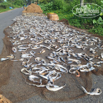 фото из отзыва ID 2659558