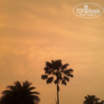 фото из отзыва ID 2659558