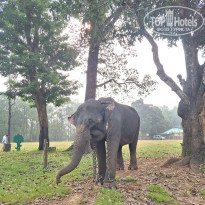 фото из отзыва ID 2659558