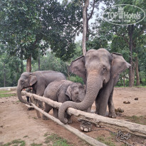 фото из отзыва ID 2659558