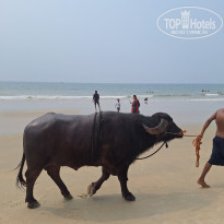 фото из отзыва ID 2659558