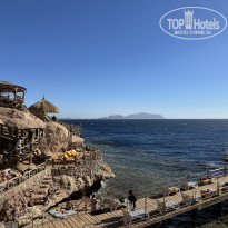 фото из отзыва ID 2659593