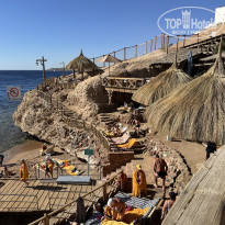 фото из отзыва ID 2659593