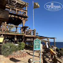 фото из отзыва ID 2659593