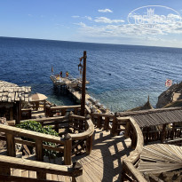 фото из отзыва ID 2659593