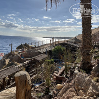 фото из отзыва ID 2659593