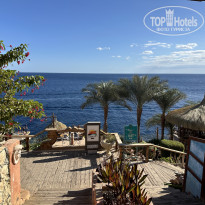 фото из отзыва ID 2659593