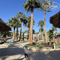 фото из отзыва ID 2659593