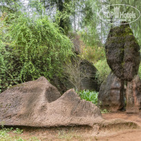 фото из отзыва ID 2659639