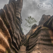 фото из отзыва ID 2659639