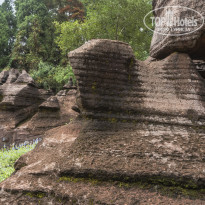 фото из отзыва ID 2659639