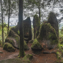 фото из отзыва ID 2659639