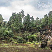 фото из отзыва ID 2659639