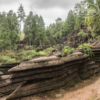 фото из отзыва ID 2659639