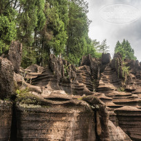 фото из отзыва ID 2659639