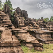 фото из отзыва ID 2659639