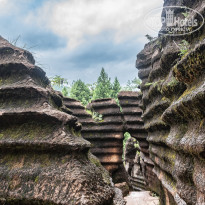 фото из отзыва ID 2659639