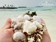 Ithaa Beach Maldives 4*