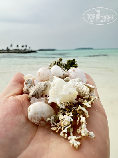 Hotel photo Ithaa Beach Maldives 4*