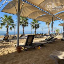 фото из отзыва ID 2659648