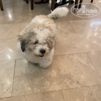 фото из отзыва ID 2659648