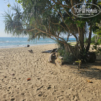 фото из отзыва ID 2659771