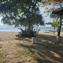 фото из отзыва ID 2659771