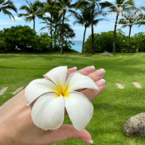 фото из отзыва ID 2659771