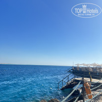 фото из отзыва ID 2659794