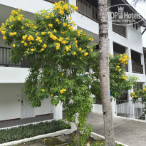 фото из отзыва ID 2659799