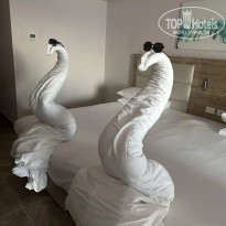 фото из отзыва ID 2659826