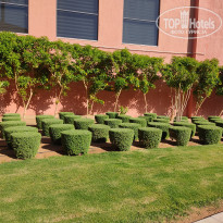 фото из отзыва ID 2658550