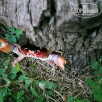 фото из отзыва ID 2659925