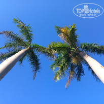 фото из отзыва ID 2659937