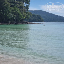 фото из отзыва ID 2659937