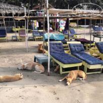 фото из отзыва ID 2658931