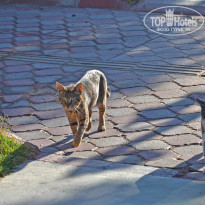 фото из отзыва ID 2659954