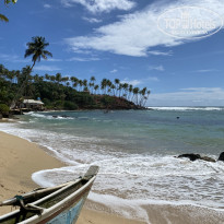 фото из отзыва ID 2659870