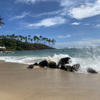 фото из отзыва ID 2659870