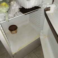 фото из отзыва ID 2659867