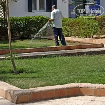 фото из отзыва ID 2659867