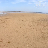 фото из отзыва ID 2658825