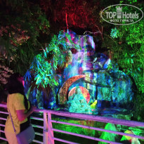 фото из отзыва ID 2656378