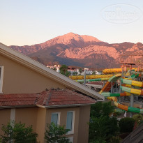 фото из отзыва ID 2653011